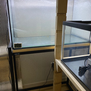 GEXオールガラス水槽セット‼️