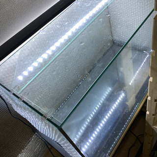 GEXオールガラス水槽セット‼️