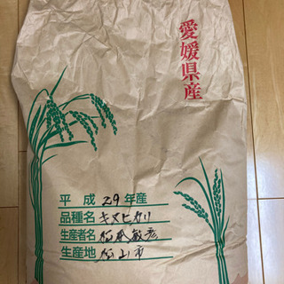 【お米】愛媛産キヌヒカリ玄米15kg