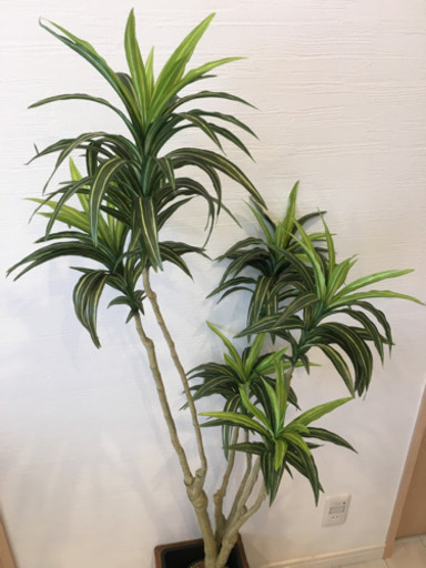 ニトリ 造花 観葉植物 Mizutaku 塚口の服 ファッションの中古 古着あげます 譲ります ジモティーで不用品の処分