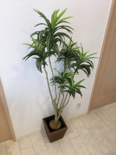 ニトリ 造花 観葉植物 Mizutaku 塚口の服 ファッションの中古 古着あげます 譲ります ジモティーで不用品の処分