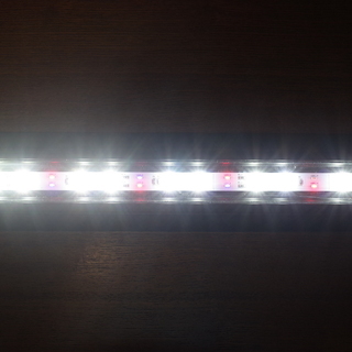 【３日間限定値下げ】水槽＆サンゴ・海水魚飼育セット（使用歴浅）