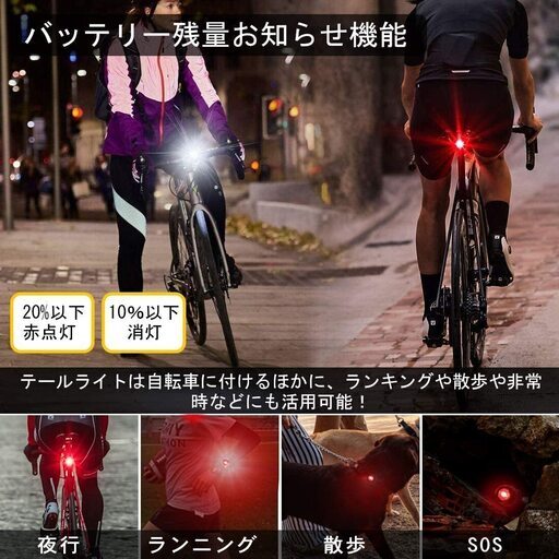 Te-Rich 自転車 ライト LED 防水 800ルーメン 充電式 5点灯モード 高 