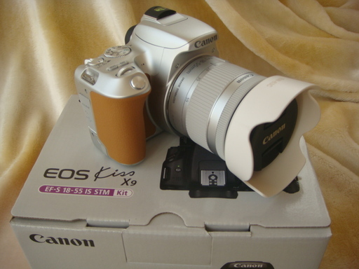 【中古美品】キャノン Canon EOS Kiss X9 EF-S18-55 IS STM レンズキット ≪一眼デビュー！！応援≫