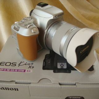 【中古美品】キャノン Canon EOS Kiss X9 EF-...