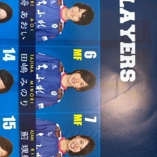 WEリーグ大宮　田嶋みのり選手　ちふれASエルフェン埼玉時代の直筆サイン入ユニフォーム