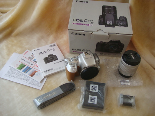 【展示品】(中古美品）キャノン Canon EOS Kiss X9 EF-S18-55 IS STM レンズキット シルバー色 元箱付