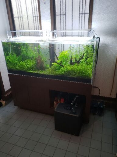 熱帯魚 淡水魚飼育セット 水槽150cm一式 くぅちゃん 清瀬のその他の中古あげます 譲ります ジモティーで不用品の処分 熱帯魚 淡水魚飼育セット 水槽150cm一式 くぅちゃん 清瀬のその他の中古あげます 譲ります ジモティーで不用品の処分