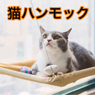 猫ハンモック