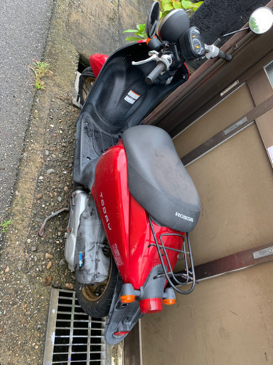 その他 TODAY