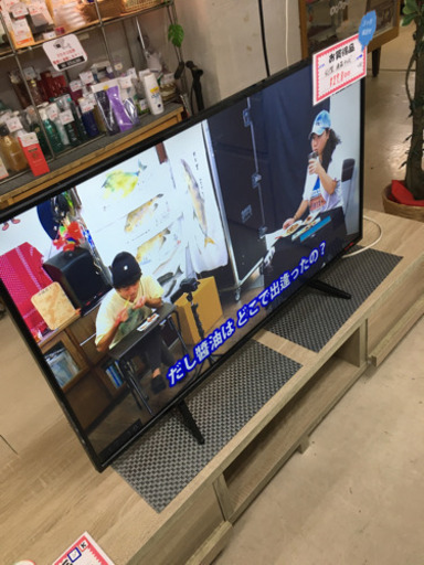 ASTEX 43型液晶テレビ　2019年製