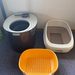 子猫　お出迎えセット