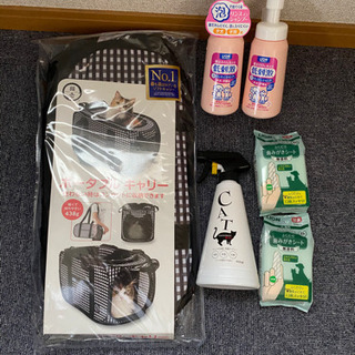 子猫　お出迎えセット