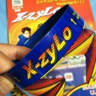 【決定】投げて遊ぶ玩具　X-zyLo