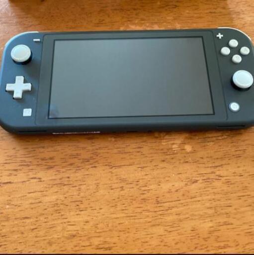 その他 NintendoSwitch LITE