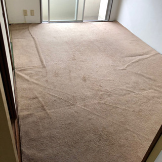  カーペット 6畳 ラグ 絨毯 じゅうたん 日本製 抗菌 防臭 ...