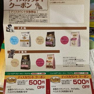 【差し上げます】nutro 子犬・子猫用フード　500円オフ券