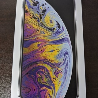 【未使用】 iPhone Xs Max Silver シルバー 64GB SIMロック解除済 docomo MT6R2J/A おまけ付き