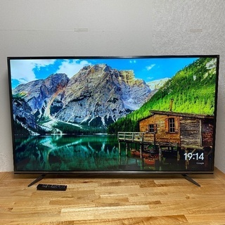 即日受渡❣️去年購入 65型4K WチューナW録画 institutoloscher.net