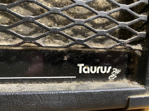 polytone Taurus アンプ ジャンク