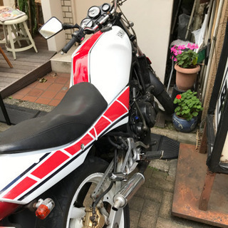 rz250r 