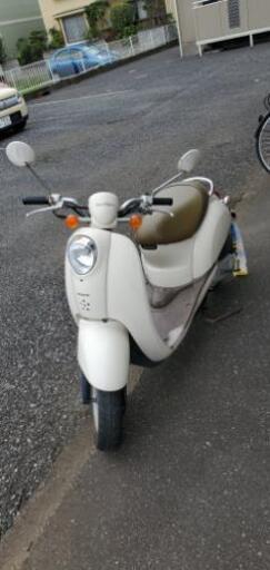 HONDA クレアスクーピー 自賠責保険付き！ 原付バイク 白 ホワイト