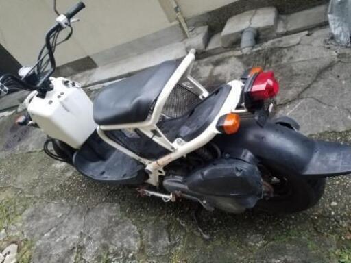 お洒落さん必見！ホワイトズーマー お洒落さん必見！ホワイトズーマー