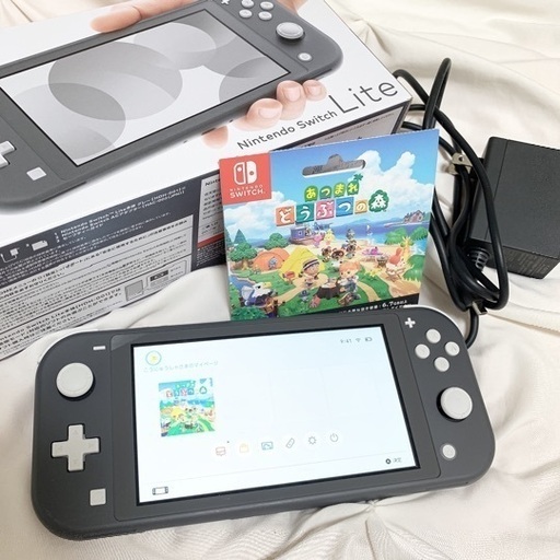 その他 switch lite gray