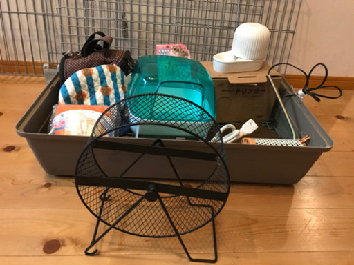 ハリネズミ　ゲージその他いろいろまとめて