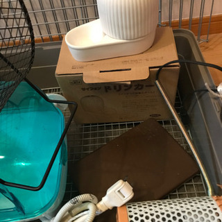 ハリネズミ　ゲージその他いろいろまとめて
