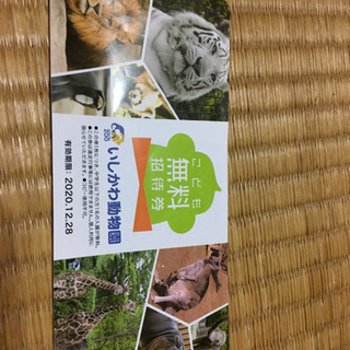 いしかわ動物園こども無料招待券