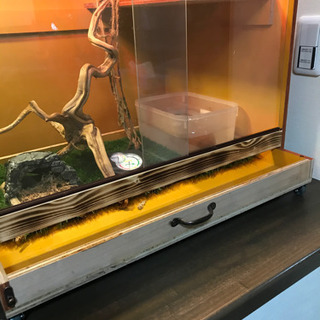 爬虫類ケージ　セット　自作