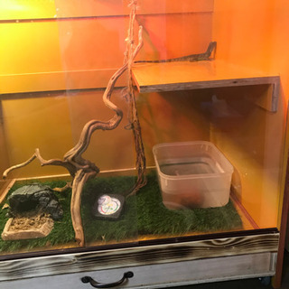 爬虫類ケージ　セット　自作