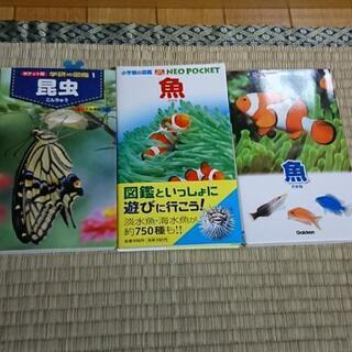 魚、昆虫の図鑑3冊♪