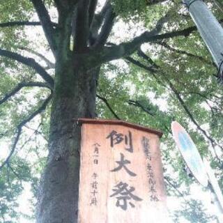 大宮氷川神社の例大祭で厄払い