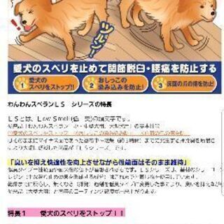 新品　わんわんスベラン