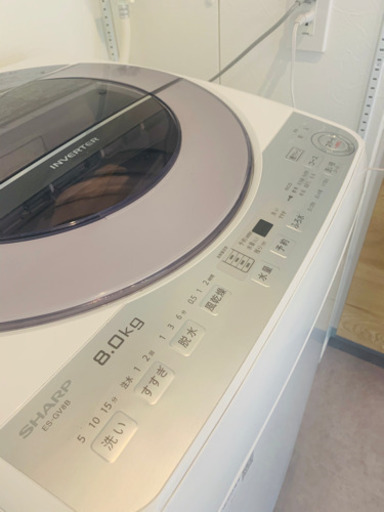 SHARP 2018年製8Kg  全自動洗濯機 ES-GV8B