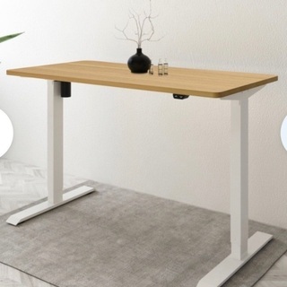 【新品未開封】Flexispot 電動式昇降デスクEC1（E1E）セット(120×60cm)