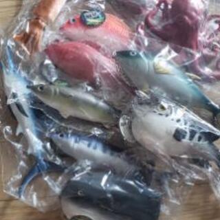 新品プニプニ鮮魚コンプ12種類セット