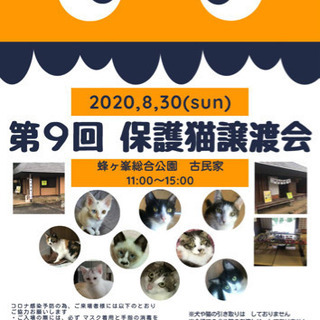 第９回保護猫譲渡会in山口県