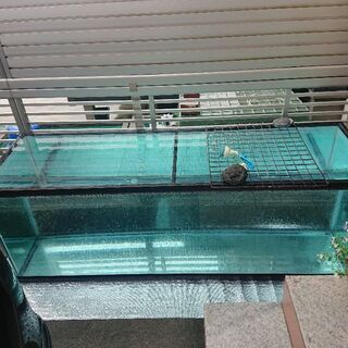 大型水槽売却