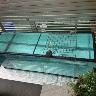 大型水槽売却