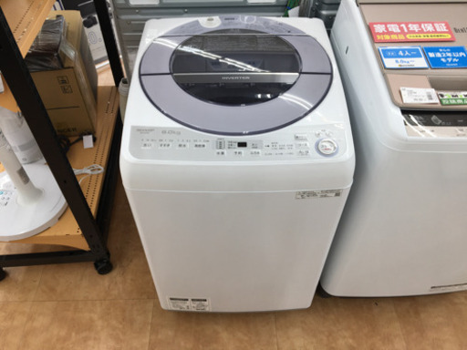 【トレファク摂津店】SHARP(シャープ)の2019年製全自動洗濯機が入荷しました！
