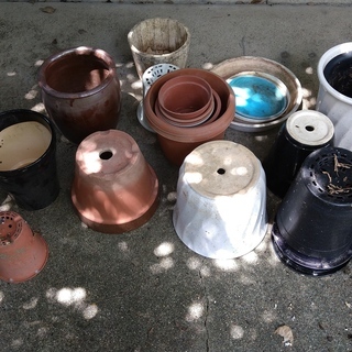 鉢：陶器、プラスティック