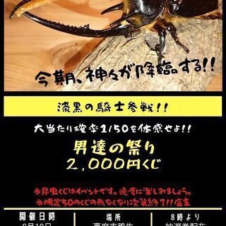 昆虫くじ第２回漆黒の騎士降臨‼️