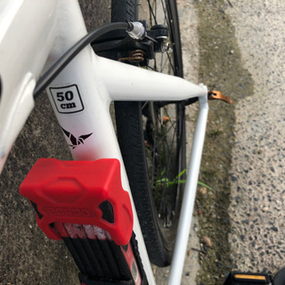 tern rip ターンリップ　サイズ50