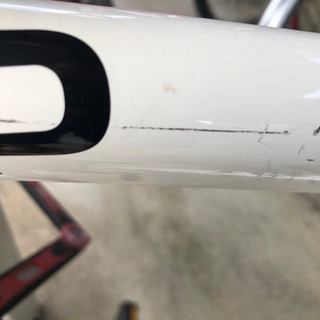 tern rip ターンリップ　サイズ50