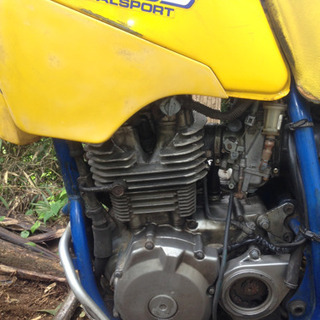 スズキ　DR250SH(SJ44A)　実働 （登録書類有）