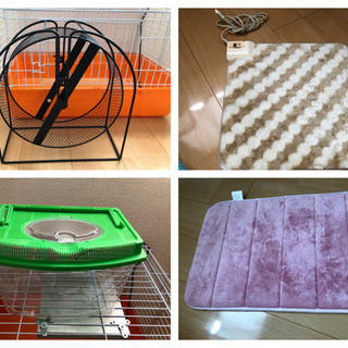 ハリネズミ　飼育セット