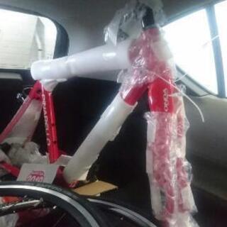 ピナレロアングリル